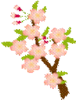 0-61-2