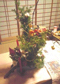 photo-11.gif