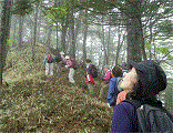 rakurakuhi20120617-2.gif