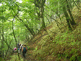 rakurakuhi20120617-4.gif