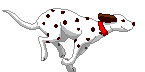錢