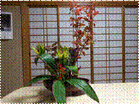 ikebana20121121