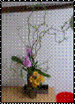 ikebana20140312-3